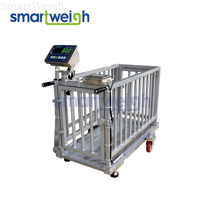 Buon prezzo Scale digitali per bestiame da carbonio da acciaio pesante 600 kg Scale di pesatura per suini ovini e bovini in linea