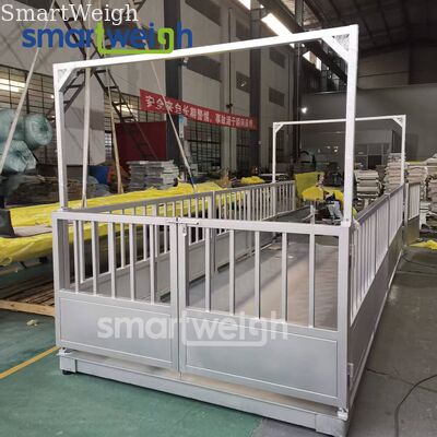 ราคาดี เครื่องชั่งน้ำหนักสัตว์แบบทนทาน 300 กก. ถึง 6 ตัน เครื่องชั่งแบบแท่นสำหรับฟาร์ม ออนไลน์